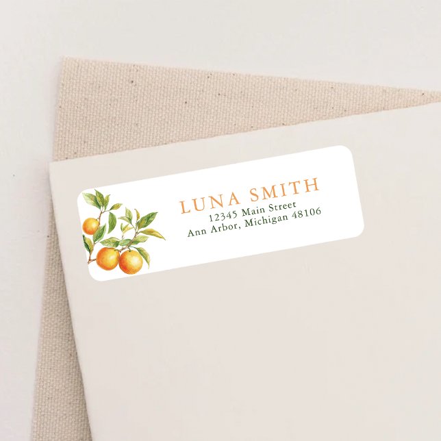 Eine kleine Süsse ist auf dem Weg zur orangen Rück (Von Creator hochgeladen)