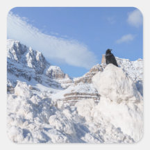 Eine Kneipe am Crowfoot Mountain Alberta Kanada