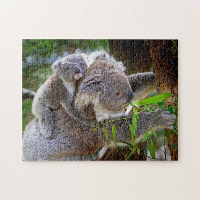 Eine Koala Mutter und ein Baby in einem Baum Puzzle (Horizontal)