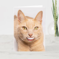 Eine lächelnde lustige Katze mit menschlichen Zähn