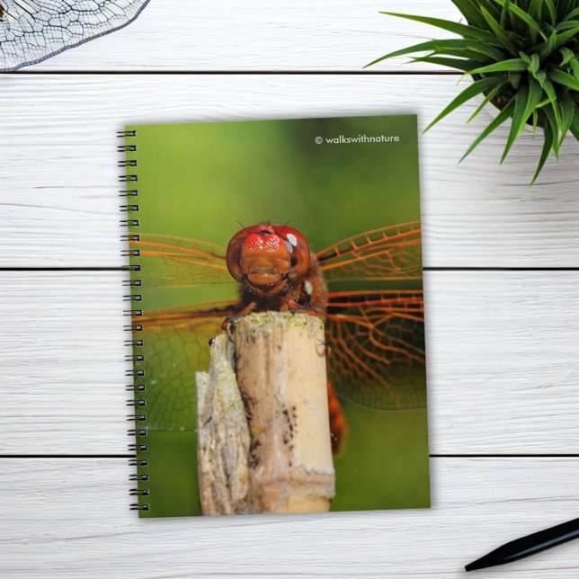 Eine lächelnde rote Libelle Notizblock (A Smiling Red Dragonfly Journal Cover Photo)