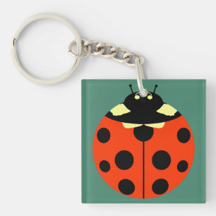 Eine Ladybug Schlüsselanhänger