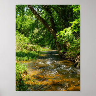 Eine Landkrebse Poster