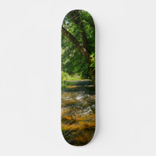 Eine Landkrebse Skateboard