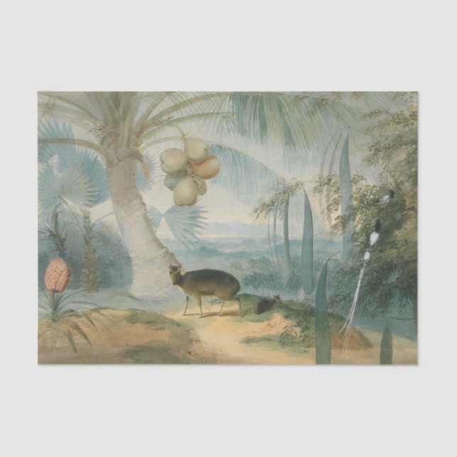 Eine Landschaft in Ceylon von Samuel Daniell Seidenpapier (Vorderseite)