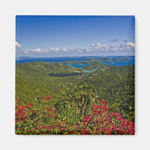 Eine Landschaft von Cruse Bay, St. John U.S Virgin Magnet