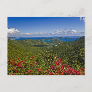 Eine Landschaft von Cruse Bay, St. John U.S Virgin Postkarte