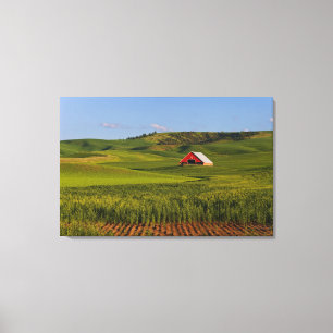Eine landschaftliche Aussicht auf eine Scheune in Leinwanddruck