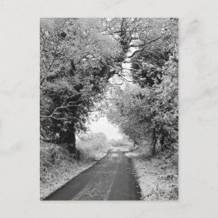 Eine Landstraße im Winter Postkarte