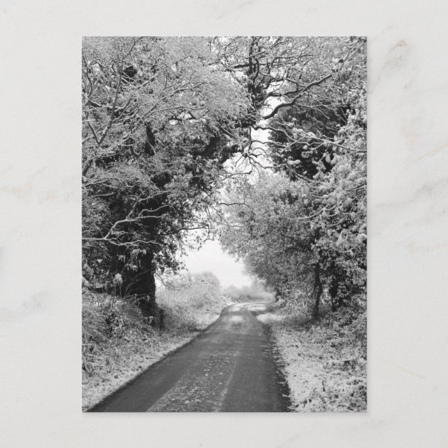 Eine Landstraße im Winter Postkarte (Vorderseite)