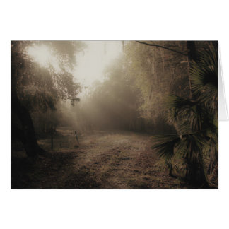 Eine Landstraße in Florida