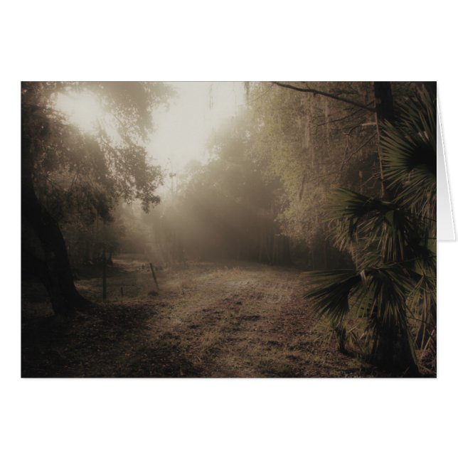 Eine Landstraße in Florida (Vorderseite (Horizontal))