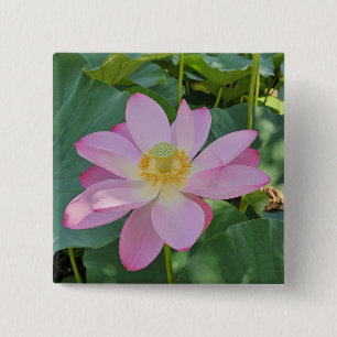 Eine lebendige Lotusblüte Button