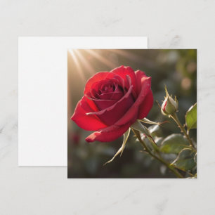 Eine lebendige rote Rose, die Liebe und Leidenscha Einladung