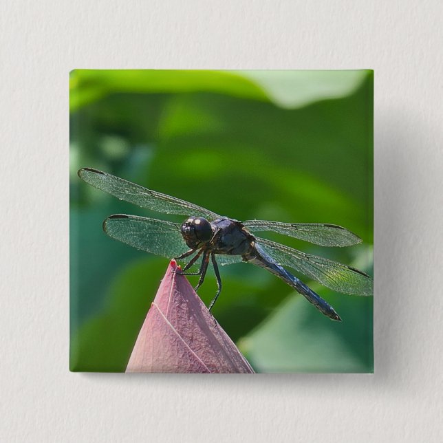 Eine Libelle der Art Slaty Skimmer Button (Vorderseite)