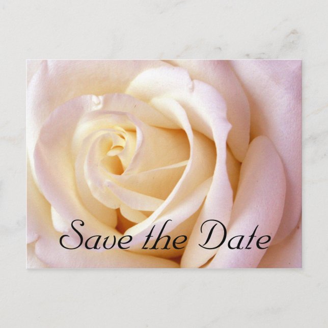 Eine Liebe, Save the Date Postkarte (Vorderseite)