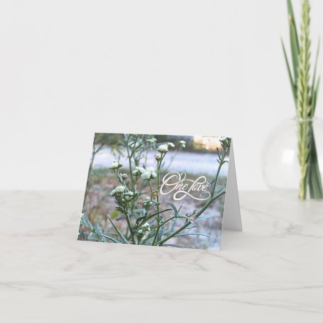 Eine Liebe, weiße Wildblume, Naturkunstkarte Dankeskarte (Vorderseite)