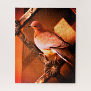 Eine liebliche Taube Puzzle