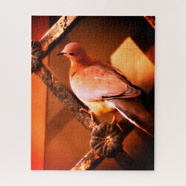 Eine liebliche Taube Puzzle (Vertikal)