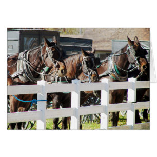 Eine Linie von Ameisenpferden