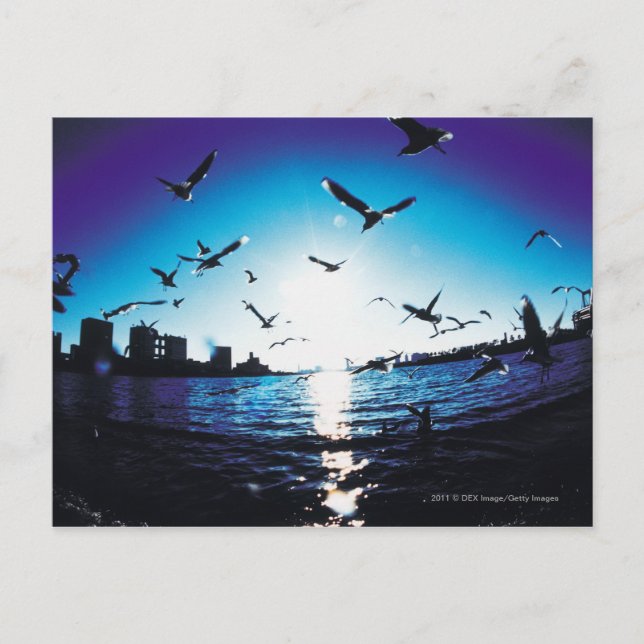 Eine Luftspionage-Brille mit Blick auf Tokio Bay,  Postkarte (Vorderseite)