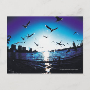 Eine Luftspionage-Brille mit Blick auf Tokio Bay, Postkarte