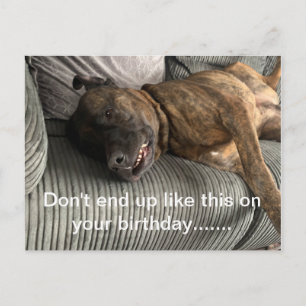 Eine lustige Bullmastiff-Postkarte Postkarte
