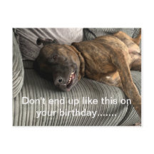Eine lustige Bullmastiff-Postkarte
