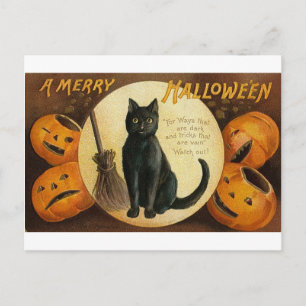 Eine lustige Halloween-Katze-Karte Feiertagspostkarte