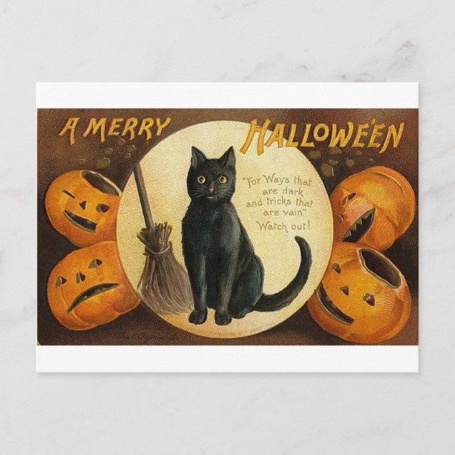 Eine lustige Halloween-Katze-Karte Feiertagspostkarte (Vorderseite)