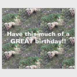 Eine lustige ungarische Vizsla-Rolle von Verpackun Geschenkpapier