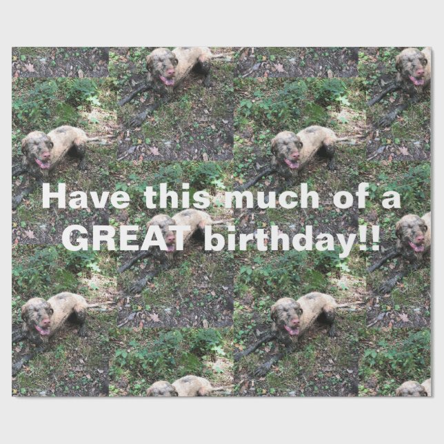 Eine lustige ungarische Vizsla-Rolle von Verpackun Geschenkpapier (Flach)