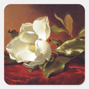 Eine Magnolie auf rotem Samt, berühmtes Gemälde, Quadratischer Aufkleber