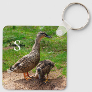 Eine Mallard-Duck und ihr Duckling Keyring Schlüsselanhänger
