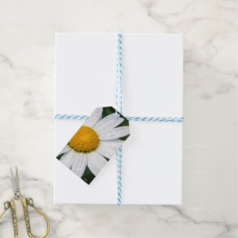 Eine Margeritte ist grün Geschenkanhänger