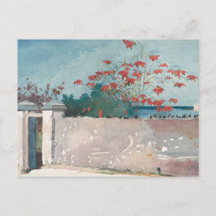 Eine Mauer, Nassau von Winslow Homer Postkarte