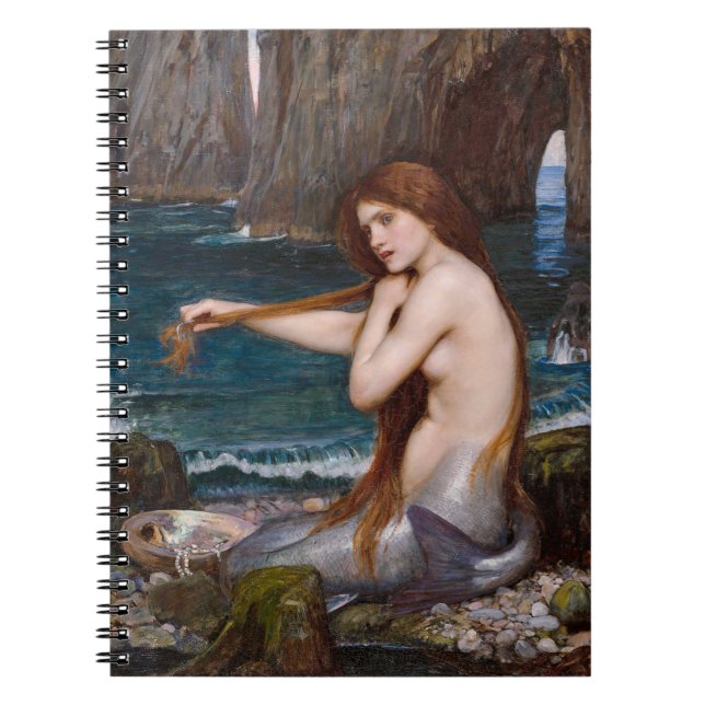 Eine Meerjungfrau von John William Waterhouse 1900 Notizblock (Vorderseite)
