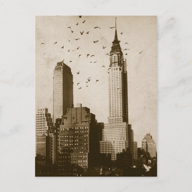 Eine Menge des Vogelfliegens Postkarte (Vorderseite)