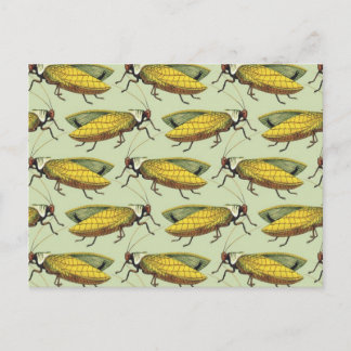 Eine Menschenmenge von Katydids Postkarte