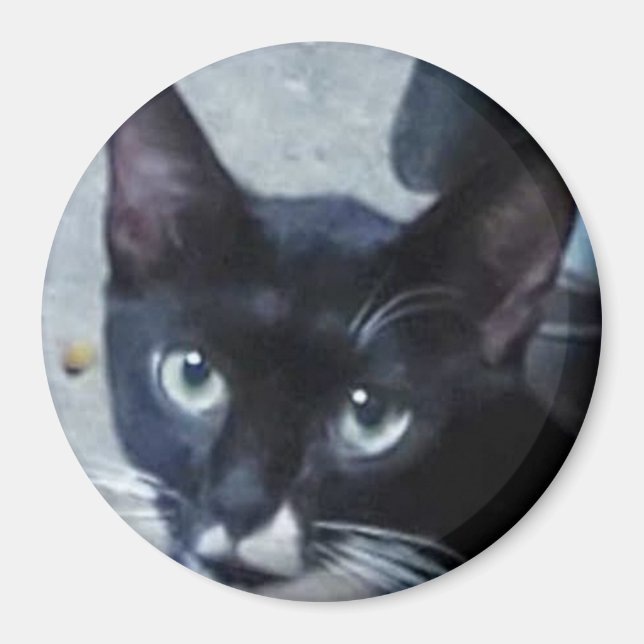 Eine merkwürdige Katze hinter der Tür Magnet (Vorne)