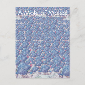 Eine Mole von Molen Cartoon Avogadro Konstante Postkarte