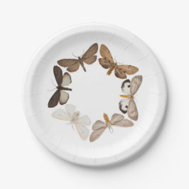 Eine Mottenplatte Pappteller