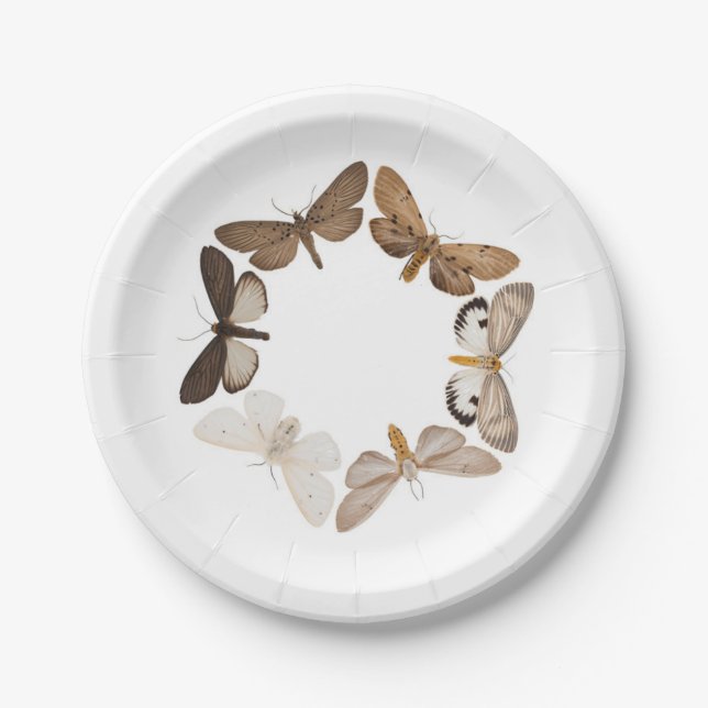 Eine Mottenplatte Pappteller (Vorderseite)