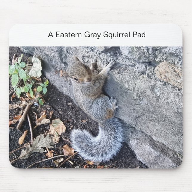 Eine Mousepad-Mousepad mit einem grauen Eichhörnch Mousepad (Vorne)