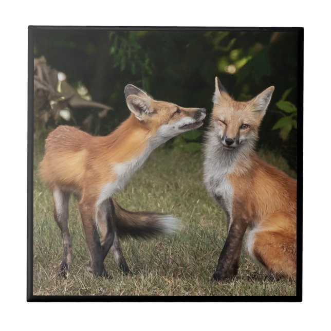 Eine Münze got? Fliese (Vorderseite)