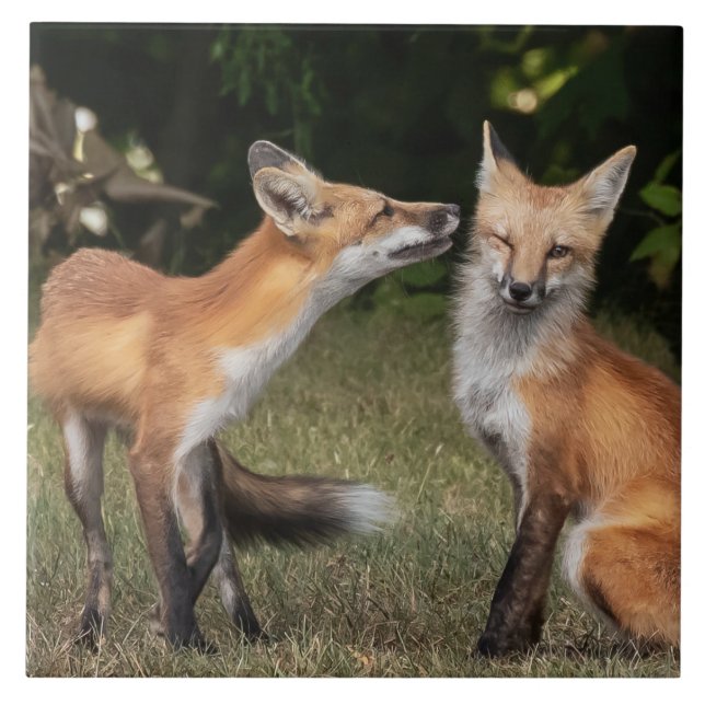 Eine Münze got? Fliese (Vorderseite)