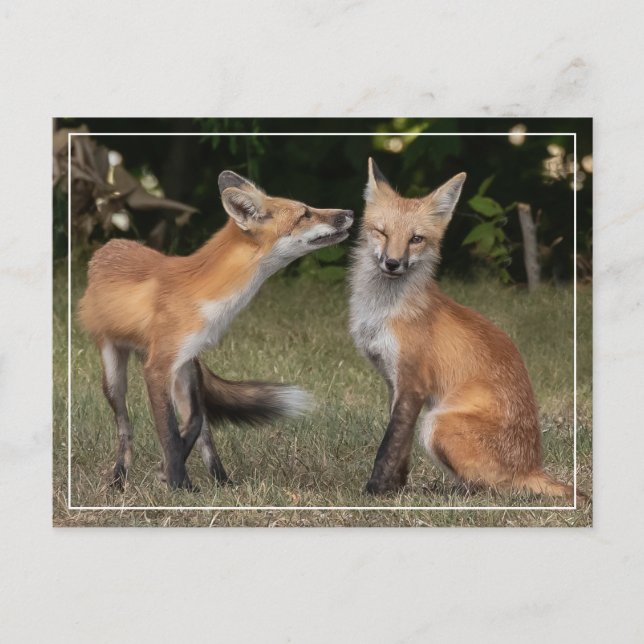 Eine Münze got? Postkarte (Vorderseite)