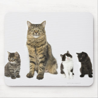 Eine Mutter mit ihren vier Kätzchen, die alle sitz Mousepad