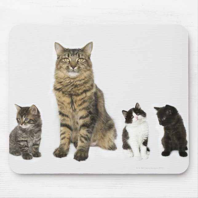 Eine Mutter mit ihren vier Kätzchen, die alle sitz Mousepad (Vorne)