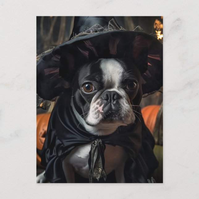 Eine Niedliche Boston Terrier Halloween Hexe Postkarte (Vorderseite)